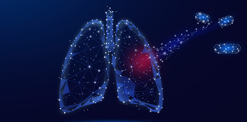 hb - 副本.png hb - 副本.png