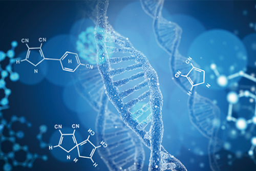 4 - ����.png