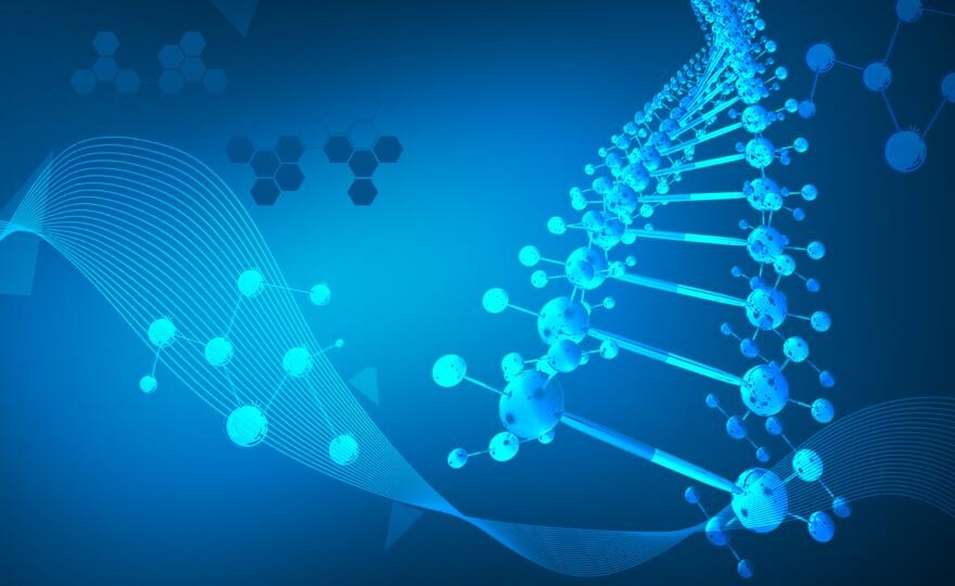 6390+�O���� - ����.jpg